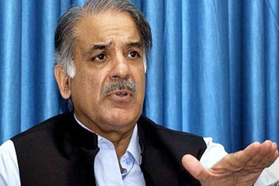 CM Shahbaz forms committee to probe dengue growth in Rawalpindi