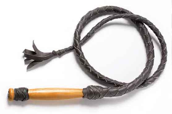 Iranian who killed dog sentenced to 74 lashes