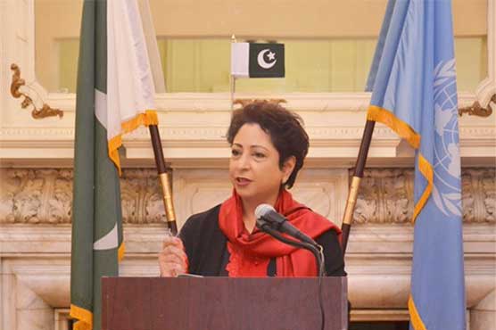 Building a peaceful neighborhood Pakistan's top priority: Lodhi