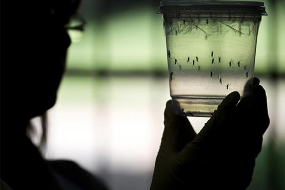 Zika virus 'scarier' than thought: US health officials