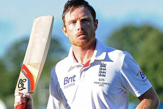 Bell sends England reminder with century