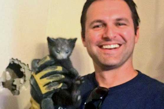 Meowing traced to kitten found stuck inside home's wall 