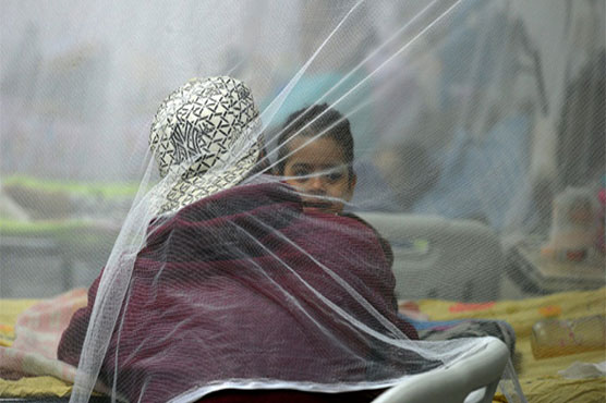 Disease experts to compare Zika notes in Paris 