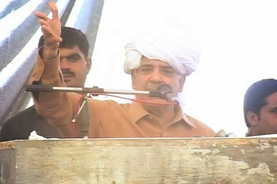 CM Shahbaz asks opposition to wait until Panama leaks probe