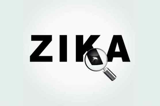 WHO warns of risk of 'marked increase' in Zika cases