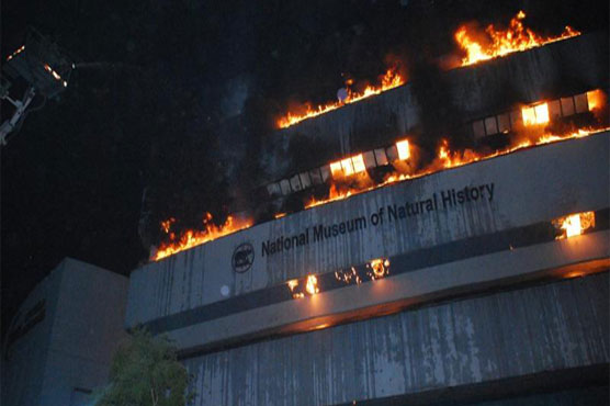 Massive fire guts natural history museum in Delhi