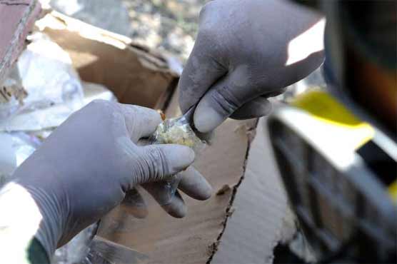 Whose nose best? French police asked to 'test' cocaine quality