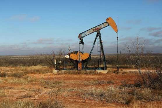 Oil prices rally before US inventory data