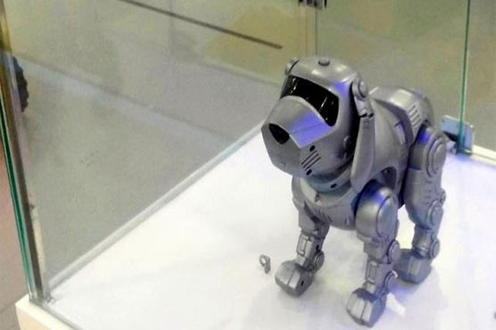 China's robotics rush shows how its debt can get out of control