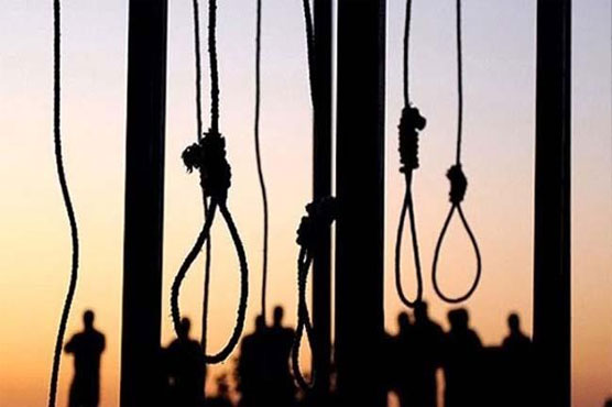 Iran says 20 'terrorists' executed in single day