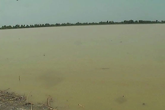 Floods devastate settlements, crops in Rajanpur, Ghotki