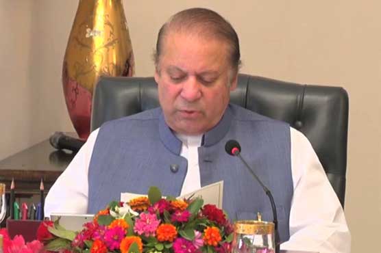 8 of 20 NAP points not implemented upon, report presented to PM