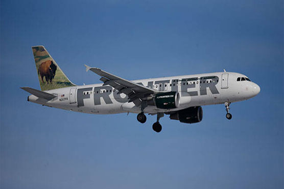 Hidden monkey on Las Vegas-bound flight causes stir