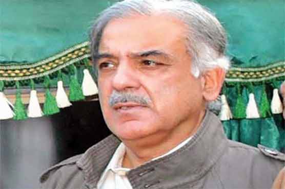 Salute the millions who sacrificed their lives for country: Shehbaz