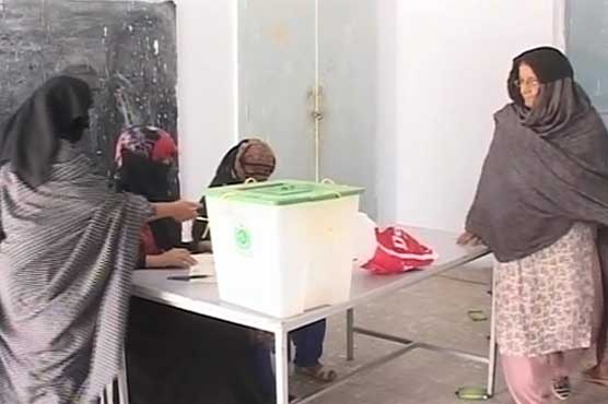 By-election: Polling underway in Taunsa Sharif's PP-240 constituency
