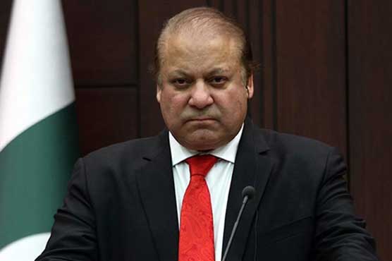 Prime Minister cannot take decisions by himself: SC
