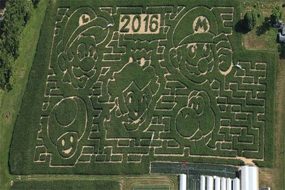 New York farm creates 8-acre 'Super Mario Bros.' corn maze