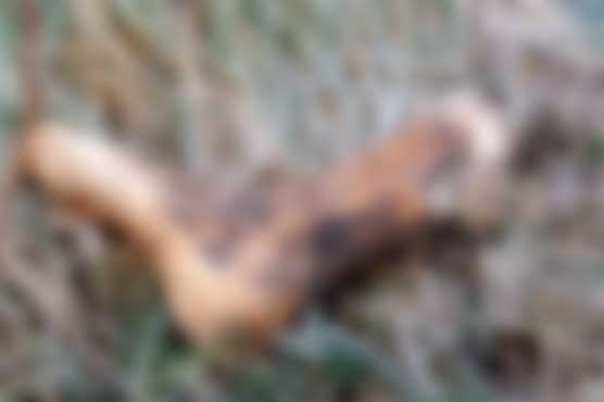 British police on their toes in human feet mystery