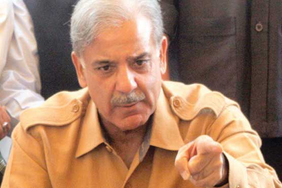Will head to SC against LHC's verdict on Orange line train project: Shehbaz