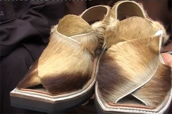 lion chappal