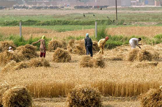 Early drought warning helps Pakistan's farmers prepare for dry season