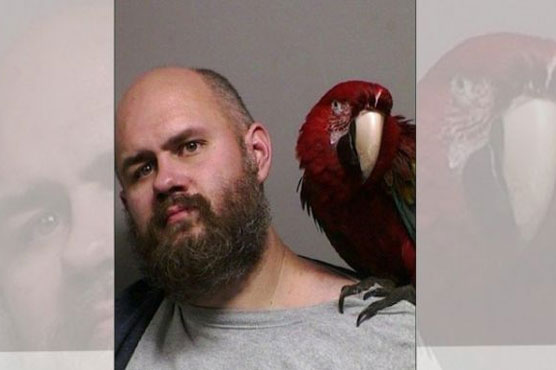 Macaw poses in man's mug shot after unlucky court appearance