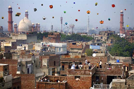 Punjab govt agrees to revive 'killer' kite festival