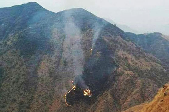 PK-661 crashed owing to engine problems: initial report 