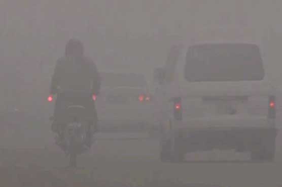 12 persons including six of a family killed in fog-related accidents in Punjab