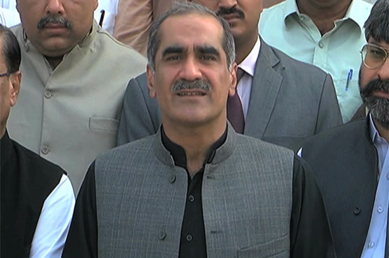 Democracy is flourishing despite being derailed four times: Saad Rafique