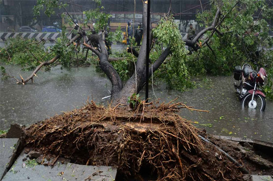 Cyclone kills 10 in south India's tech hub