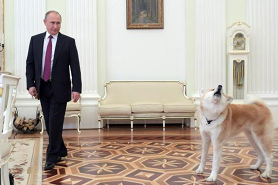 Putin's barking dog take center stage at media interview