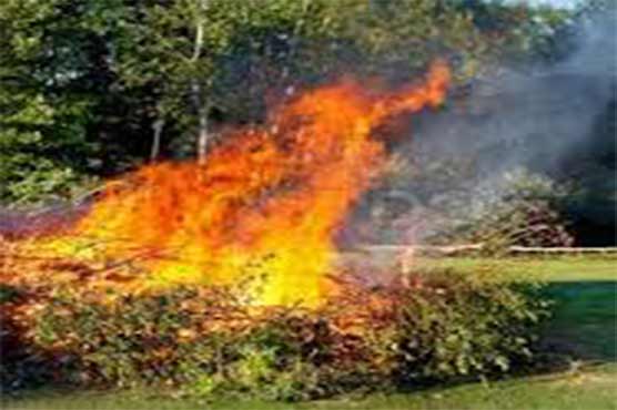 Firefighters fail to control forest fires in Murree