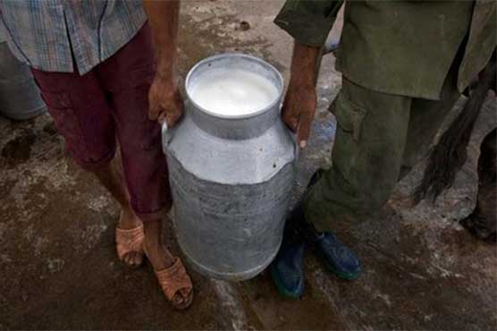 Cattle pens' removal from city main reason behind unhygienic milk