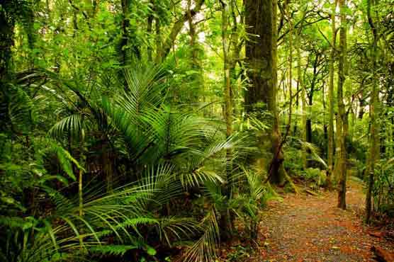 KPK is changing the conversation!