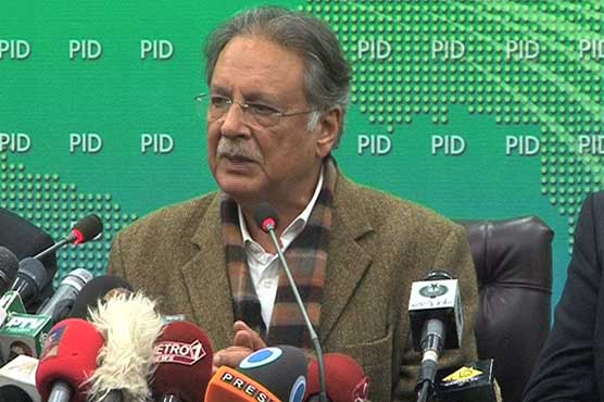 Those accusing govt were not physically part of protest: Pervaiz Rasheed