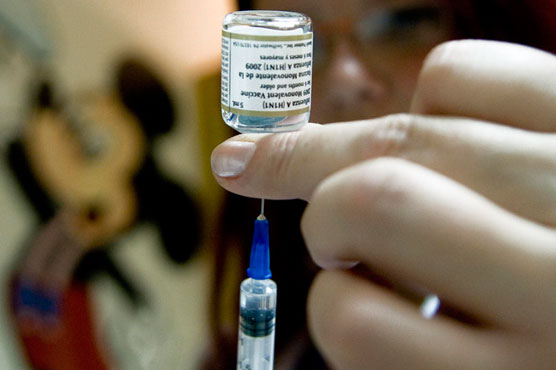 Four swine flu deaths in Lebanon this winter: health ministry