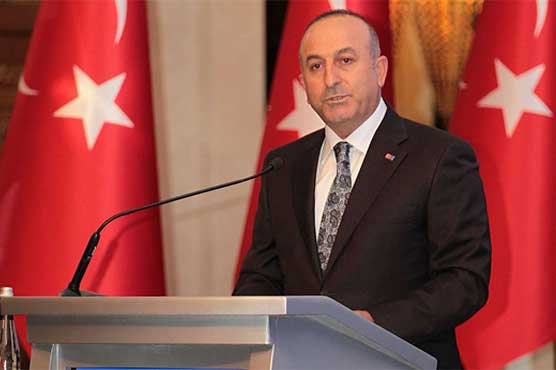 Turkey hails world powers' Syria plan as 'important step'