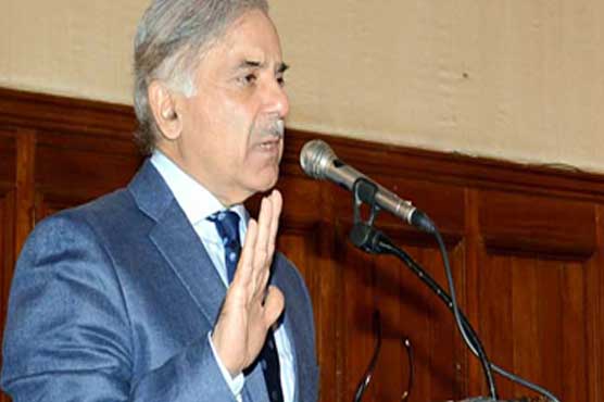 CM Shahbaz terms kite flying ban violation 'intolerable'