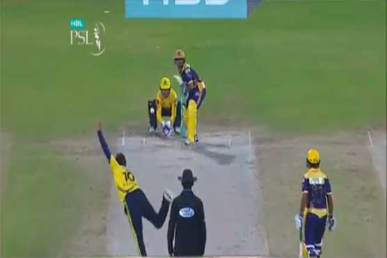 Zalmi beat Gladiators, victorious by 8 wickets 