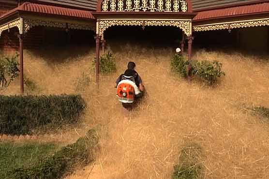 'Hairy panic' grips Australian town
