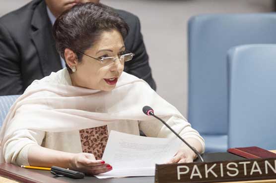 Maleeha Lodhi calls for political efforts in crisis-hit parts of the world