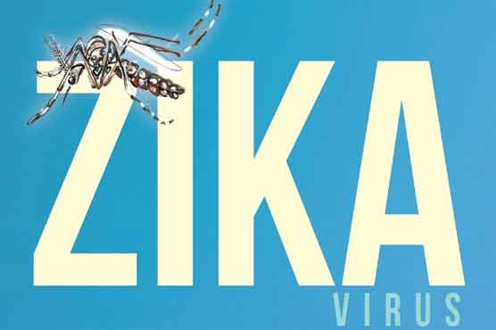 Growing evidence linking Zika to microcephaly: WHO