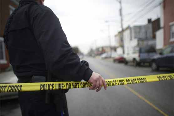 Seven killed in Michigan shooting rampage, suspect arrested