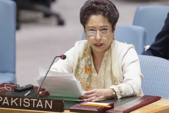 Pakistan opposes more permanent seats to UNSC: Lodhi
