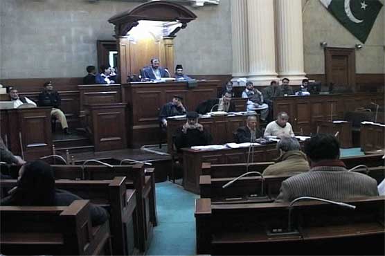 Women Protection Bill to be reviewed according to Islamic teachings: CII