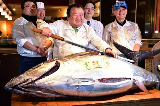 Japan sushi boss pays $117,000 for threatened tuna