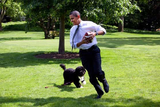 Police arrest man plotting to kidnap Obama's dog