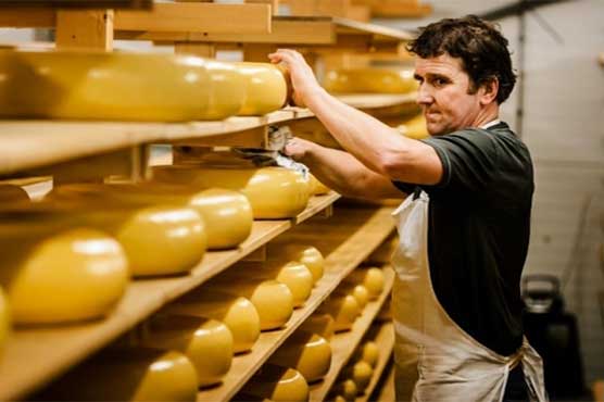 Who moved my cheese? Spate of burglaries baffle Dutch