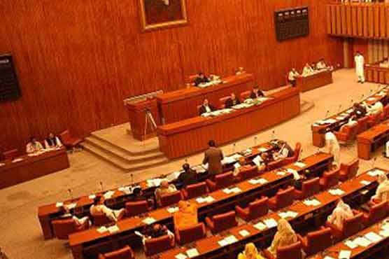 Resolution to ban VIP protocol approved by Senate